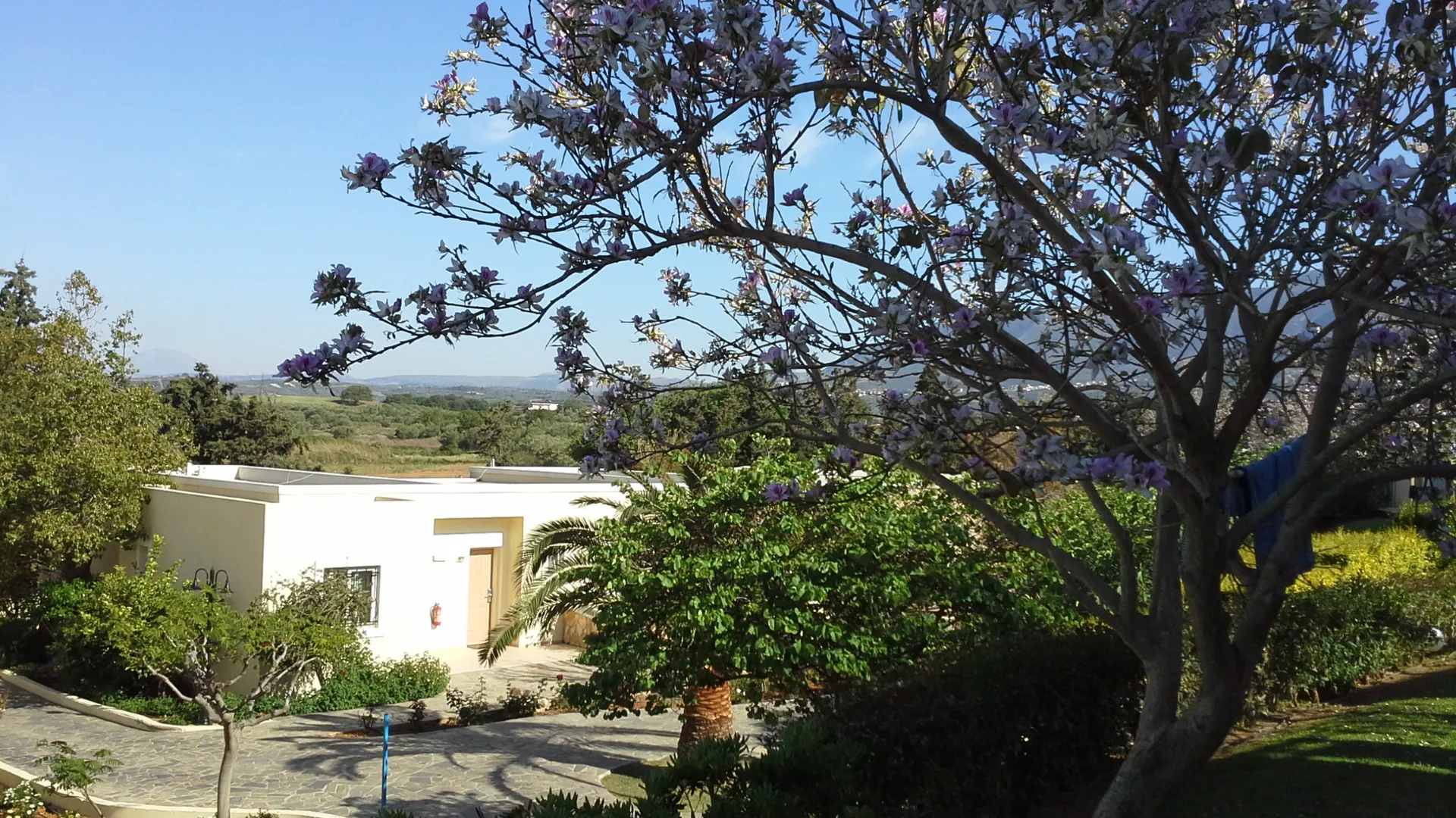 Crete - A Traveller’s Island With a Soul